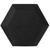 20 lbs Hex Dumbbells with Rubber Coated, Hand Weights for Exercises and Fitness